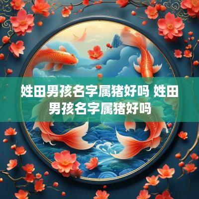 姓田男孩名字属猪好吗 姓田男孩名字属猪好吗
