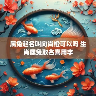 属兔起名叫向尚橙可以吗 生肖属兔取名喜用字