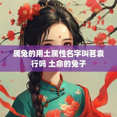 属兔的用土属性名字叫茗袁行吗 土命的兔子