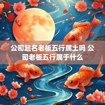 公司起名老板五行属土吗 公司老板五行属于什么