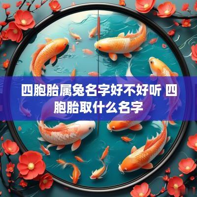 四胞胎属兔名字好不好听 四胞胎取什么名字