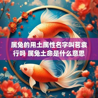 属兔的用土属性名字叫茗袁行吗 属兔土命是什么意思