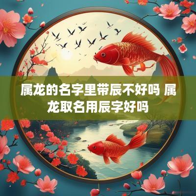属龙的名字里带辰不好吗 属龙取名用辰字好吗