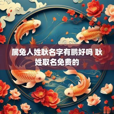 属兔人姓耿名字有鹏好吗 耿姓取名免费的