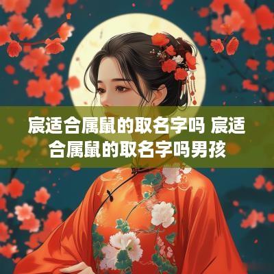 宸适合属鼠的取名字吗 宸适合属鼠的取名字吗男孩