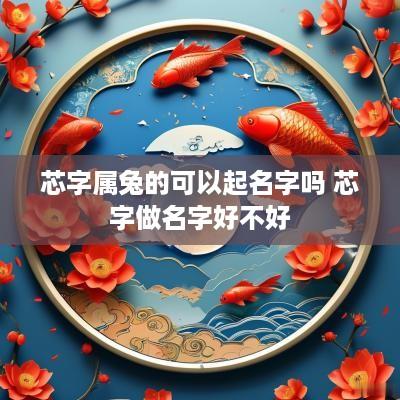 芯字属兔的可以起名字吗 芯字做名字好不好