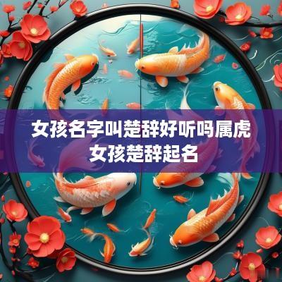 女孩名字叫楚辞好听吗属虎 女孩楚辞起名