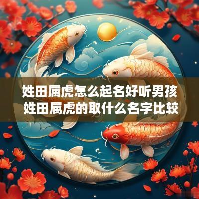姓田属虎怎么起名好听男孩 姓田属虎的取什么名字比较好,男孩