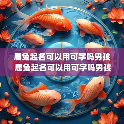 属兔起名可以用可字吗男孩 属兔起名可以用可字吗男孩名字