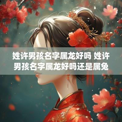 姓许男孩名字属龙好吗 姓许男孩名字属龙好吗还是属兔