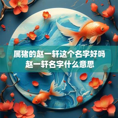 属猪的赵一轩这个名字好吗 赵一轩名字什么意思