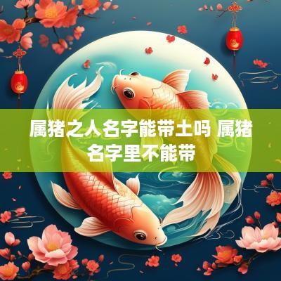 属猪之人名字能带土吗 属猪名字里不能带