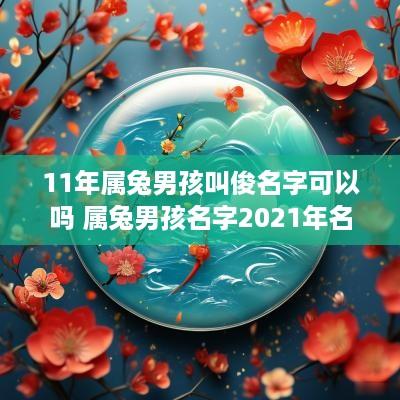 11年属兔男孩叫俊名字可以吗 属兔男孩名字2025年名字大全