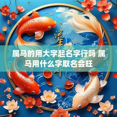 属马的用大字起名字行吗 属马用什么字取名会旺