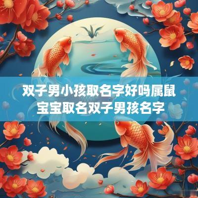 双子男小孩取名字好吗属鼠 宝宝取名双子男孩名字