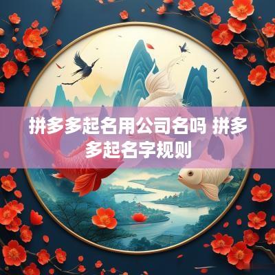 拼多多起名用公司名吗 拼多多起名字规则