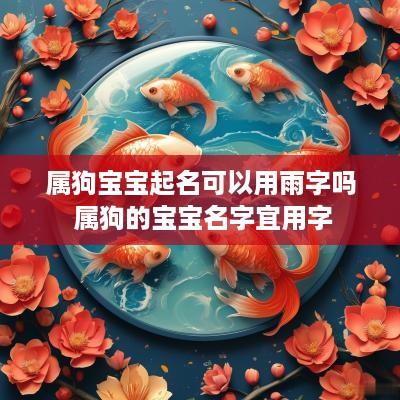 属狗宝宝起名可以用雨字吗 属狗的宝宝名字宜用字