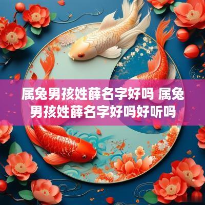 属兔男孩姓薛名字好吗 属兔男孩姓薛名字好吗好听吗
