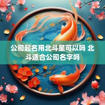 公司起名用北斗星可以吗 北斗适合公司名字吗