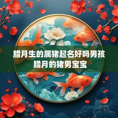 腊月生的属猪起名好吗男孩 腊月的猪男宝宝