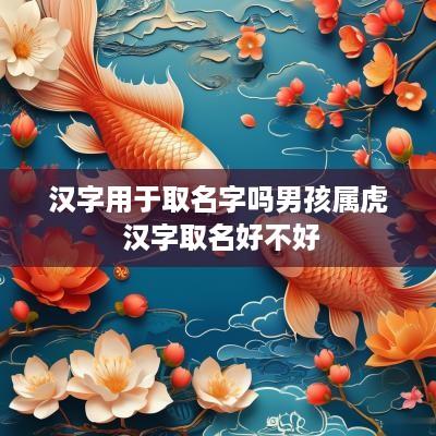 汉字用于取名字吗男孩属虎 汉字取名好不好