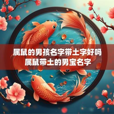 属鼠的男孩名字带土字好吗 属鼠带土的男宝名字