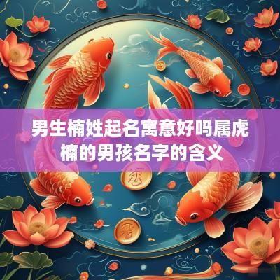 男生楠姓起名寓意好吗属虎 楠的男孩名字的含义