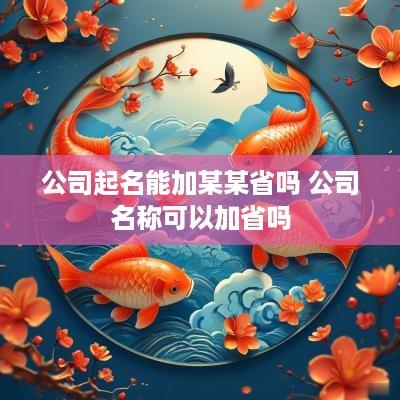 公司起名能加某某省吗 公司名称可以加省吗
