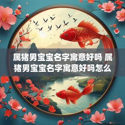属猪男宝宝名字寓意好吗 属猪男宝宝名字寓意好吗怎么取