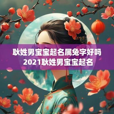 耿姓男宝宝起名属兔字好吗 2025耿姓男宝宝起名