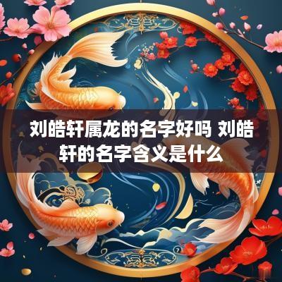 刘皓轩属龙的名字好吗 刘皓轩的名字含义是什么