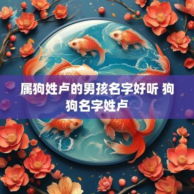 属狗姓卢的男孩名字好听 狗狗名字姓卢
