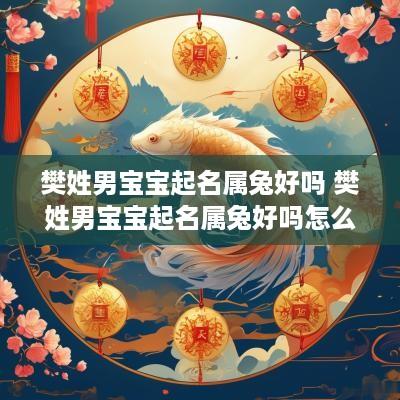 樊姓男宝宝起名属兔好吗 樊姓男宝宝起名属兔好吗怎么取