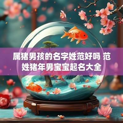 属猪男孩的名字姓范好吗 范姓猪年男宝宝起名大全