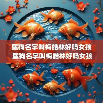 属狗名字叫梅皓林好吗女孩 属狗名字叫梅皓林好吗女孩子