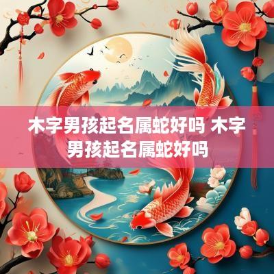 木字男孩起名属蛇好吗 木字男孩起名属蛇好吗
