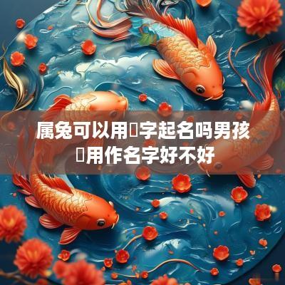属兔可以用彧字起名吗男孩 彧用作名字好不好