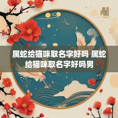 属蛇给猫咪取名字好吗 属蛇给猫咪取名字好吗男