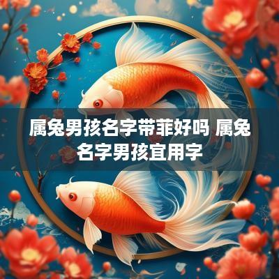 属兔男孩名字带菲好吗 属兔名字男孩宜用字