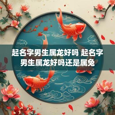 起名字男生属龙好吗 起名字男生属龙好吗还是属兔