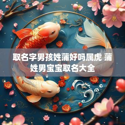 取名字男孩姓蒲好吗属虎 蒲姓男宝宝取名大全