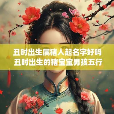 丑时出生属猪人起名字好吗 丑时出生的猪宝宝男孩五行缺什么
