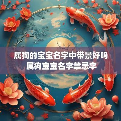 属狗的宝宝名字中带景好吗 属狗宝宝名字禁忌字