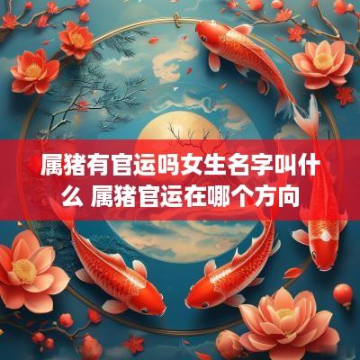 属猪有官运吗女生名字叫什么 属猪官运在哪个方向