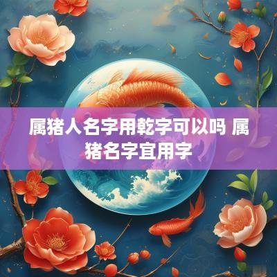 属猪人名字用乾字可以吗 属猪名字宜用字