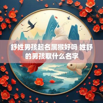 舒姓男孩起名属猴好吗 姓舒的男孩取什么名字