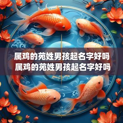 属鸡的苑姓男孩起名字好吗 属鸡的苑姓男孩起名字好吗