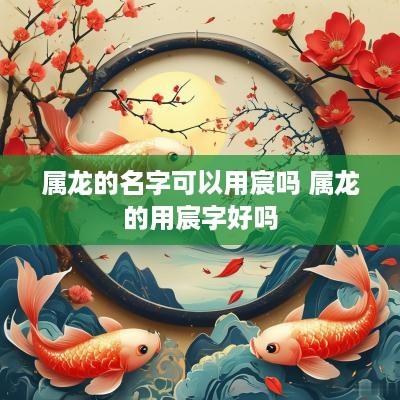属龙的名字可以用宸吗 属龙的用宸字好吗