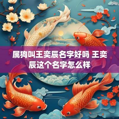 属狗叫王奕辰名字好吗 王奕辰这个名字怎么样