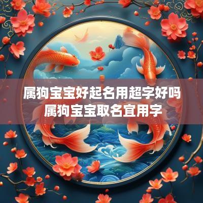属狗宝宝好起名用超字好吗 属狗宝宝取名宜用字
